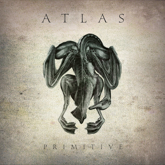 Atlas - Primitive